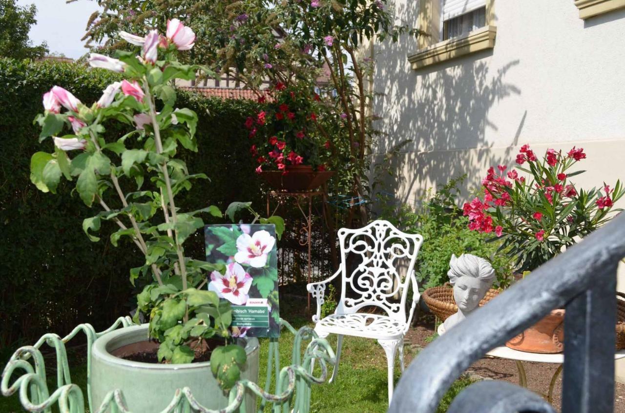 Villa Merzbach Untermerzbach Esterno foto